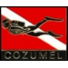 CITY OF COZUMEL MEXICO SCUBA DIVE FLAG PIN MEXICO DIVER PINS